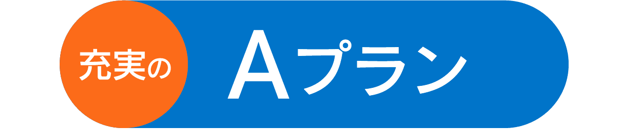 Aプラン